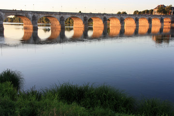 Fototapeta na wymiar Le pont Cessart enjambant la Loire à Saumur, France
