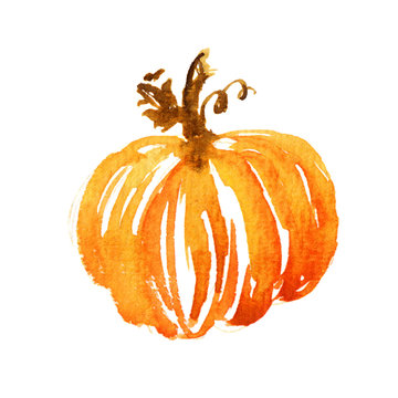 Watercolor pumpkin illustration