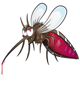 mosquito  cartoon isolated on white background