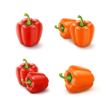 Vector Set of Colored Orange and Red Sweet Bulgarian Bell Peppers, Paprika Isolated on White Background