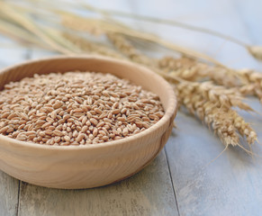Plate with grains and wheat ears