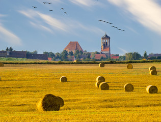 Pole pożniwach,snopki słomy leżące na ściernisku © Mike Mareen
