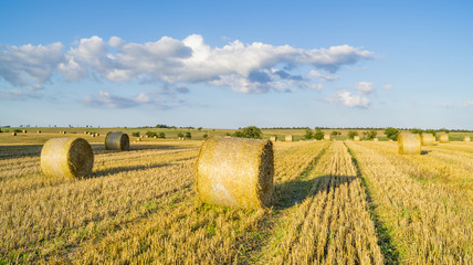Pole pożniwach,snopki słomy leżące na ściernisku © Mike Mareen