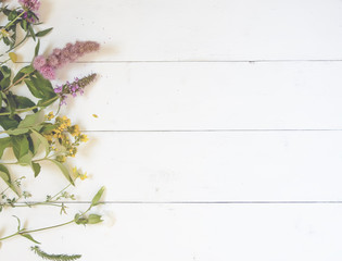 Flowers on a white wooden background. Top view