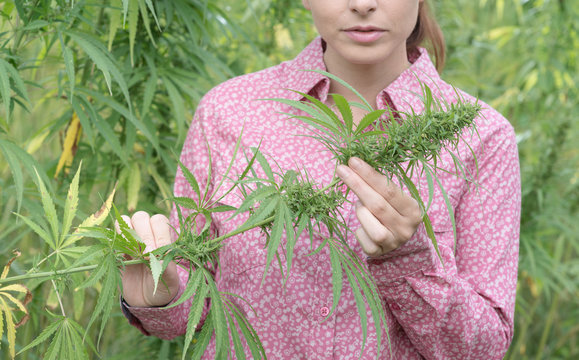 Woman holding an hemp flower