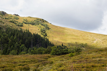 Summer landscape of Carpathian mountains