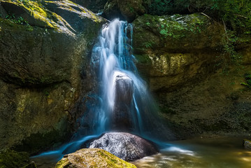 Scenic forest waterfall