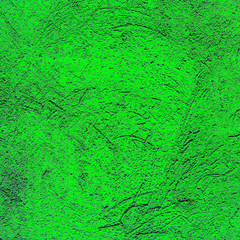 abstract green background texture cement wall