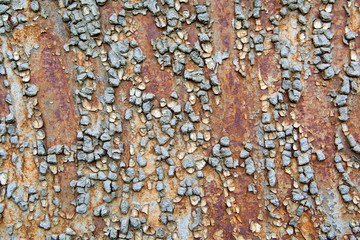 abstract purple background texture concrete wall