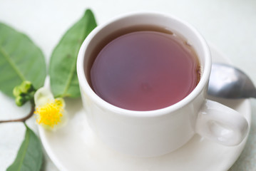 Yellow flower of tea with seeds and cup with black tea