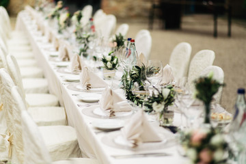 Olive branches stand between glassware on a dinner table