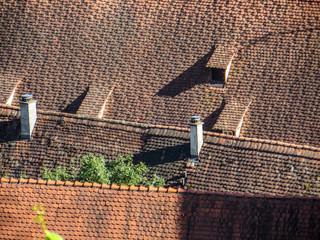 Dächer im Kloster Maulbronn