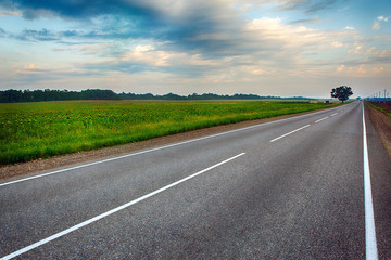 Empty asphalt road between flower meadows in the countryside.