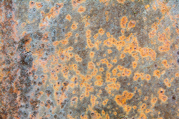 gray background rusty metal panel painted