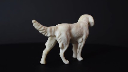 Shooting of a dog of a figurine setter.