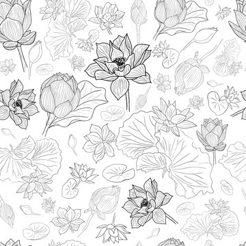 Black line lotus flowers pattern background on white