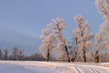 Obraz premium winter day