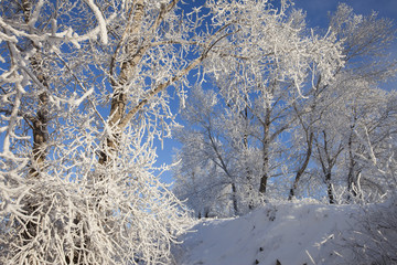 sunny winter day on the river Kama