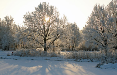 sunrise in winter