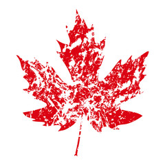 illustration of vector maple leaf in grunge style - 118359052