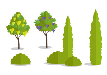 Set of Isolated Trees and Bushes