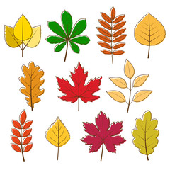 vector collection of autumn colored leaves