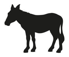 Donkey. Vector drawing