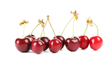 Ripe cherries isolated on a white background