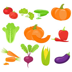 Set of colorful vegetables isolated on white background. Vector stock illustration.