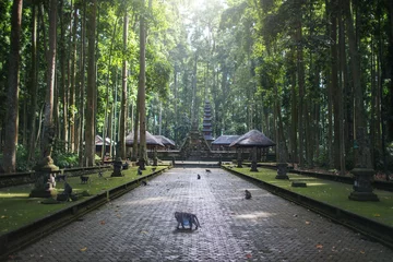 Zelfklevend Fotobehang Sangeh Monkey Forest, tempel op het eiland Bali, Indonesië © Glebstock