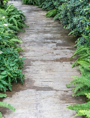 Concrete pathway in the park