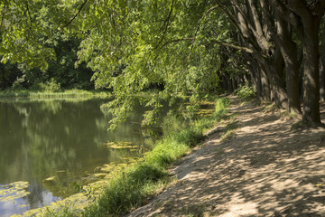 Obraz premium Пруд в старом парке. Усадьба Узкое.