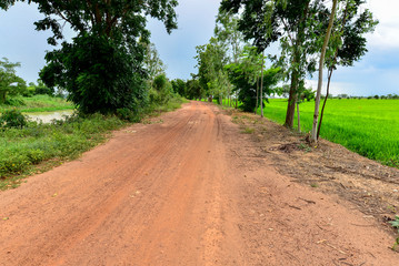 Obraz premium Dirt Street nearby the Rice Cornfield, Phichit, Thailand