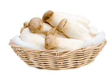 King Oyster Mushroom or Eryngii Mushroom in basket  isolated on white background