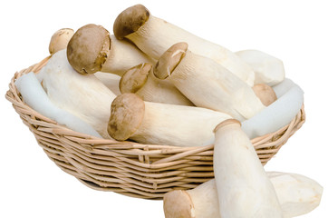 King Oyster Mushroom or Eryngii Mushroom in basket  isolated on white background