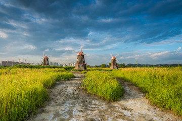 Old Wooden Mills The Field