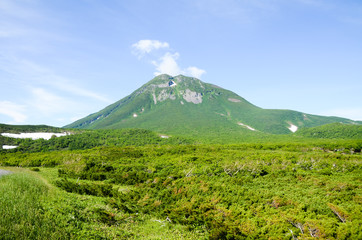 夏の知床峠（北海道）