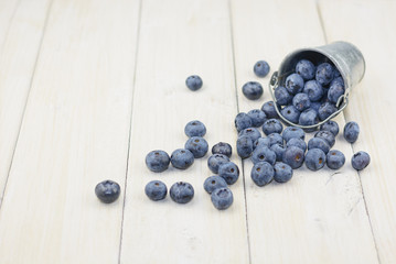 Aluminum bucket of blueberries are scattered on a white backgrou
