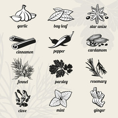 Spice vector icons set
