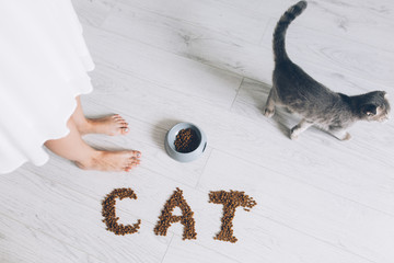 Girl feeding cat food and playing kitten Scottish breed