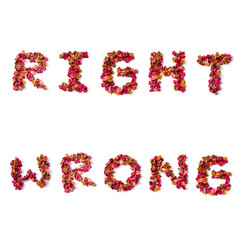 right and wrong word on white background