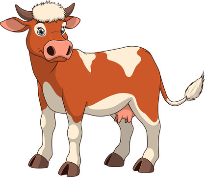 Adult funny cow