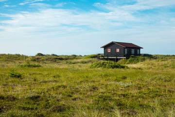 wooden house in the nature
