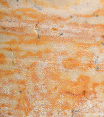 Close up texture of stone background