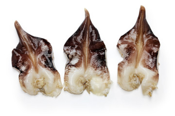 torigai, japanese cockle isolated on white background