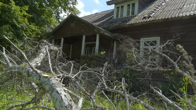 An abandoned old house and the twigs of the fallen trees on the yard of the house