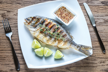Grilled Dorade Royale Fish on the plate