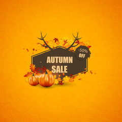 Autumn Sale Concept with Autumn Leaves Vector Illustration.

