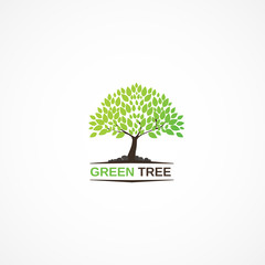 Obraz premium Green Tree.