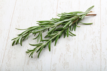 Rosemary plant